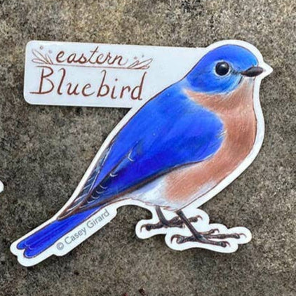 Eastern Bluebird Sticker