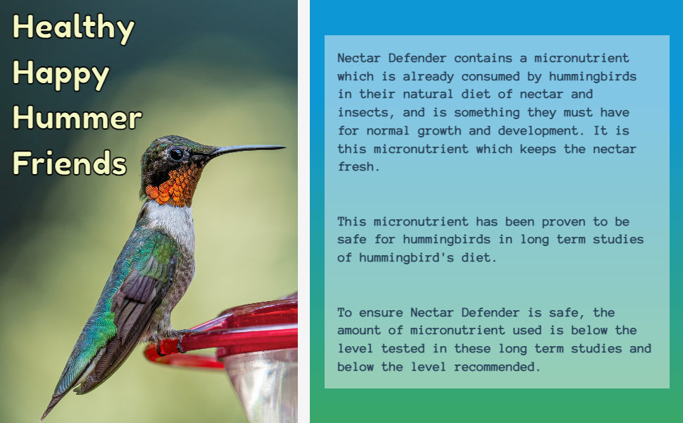 Hummingbird Feeder Fresh Nectar Defender