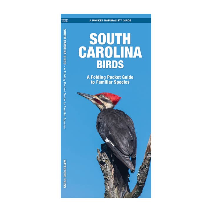 South Carolina Birds Nature Guide