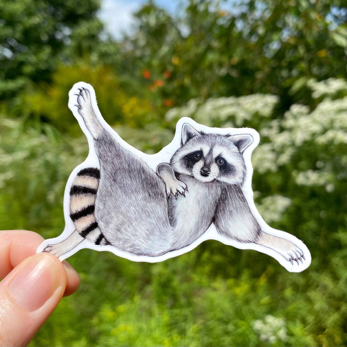 Lounging Raccoon Sticker