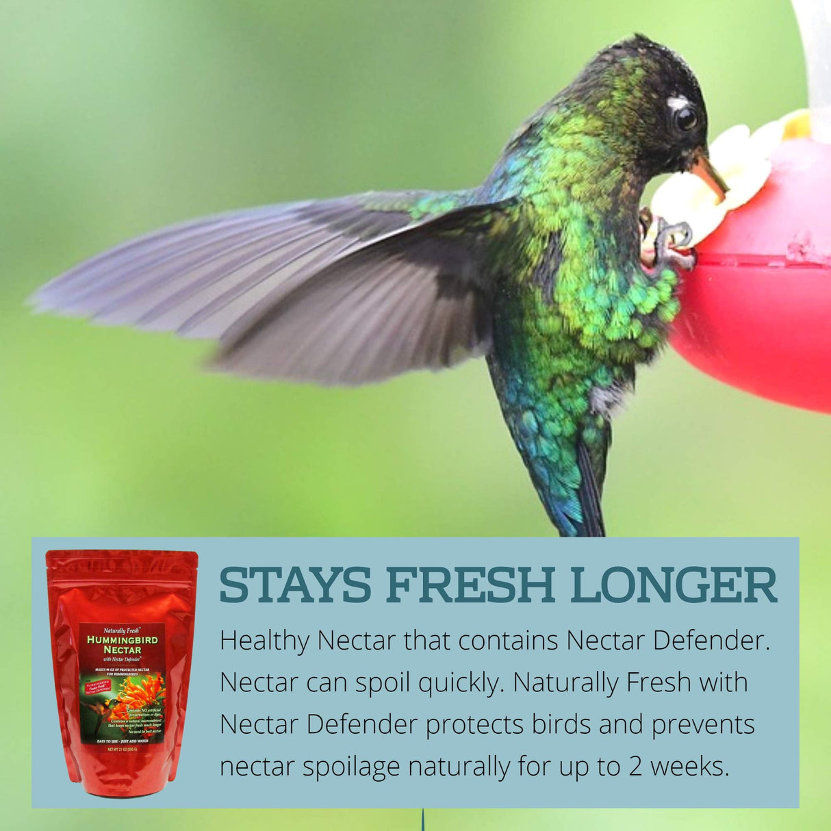 Naturally Fresh Hummingbird Nectar with Feeder Fresh (TM) Nectar Defender (TM) Powder Nectar