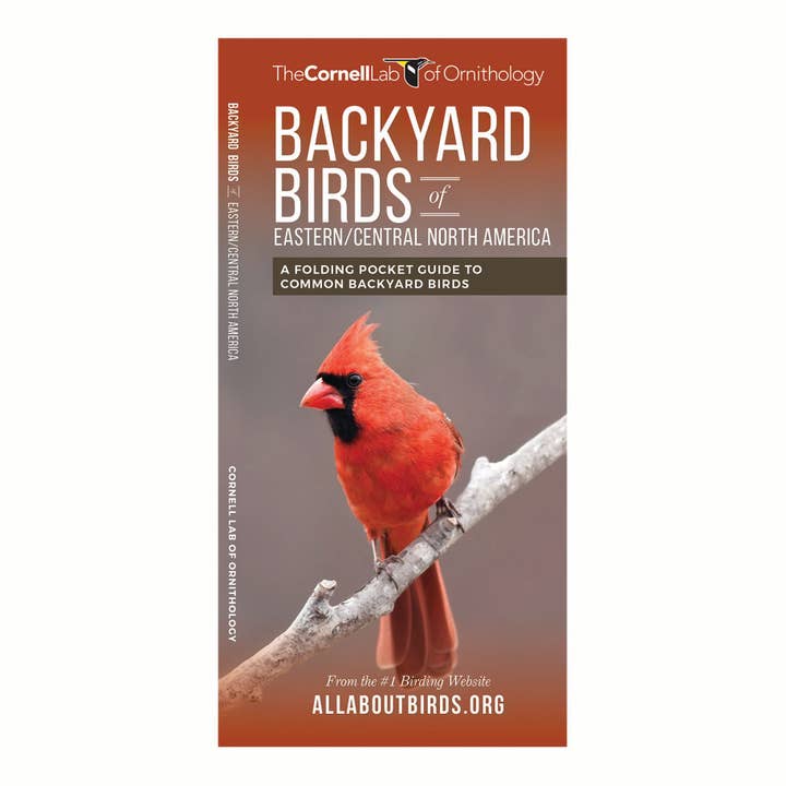 Backyard Birds of Eastern/Central North America Nature Guide