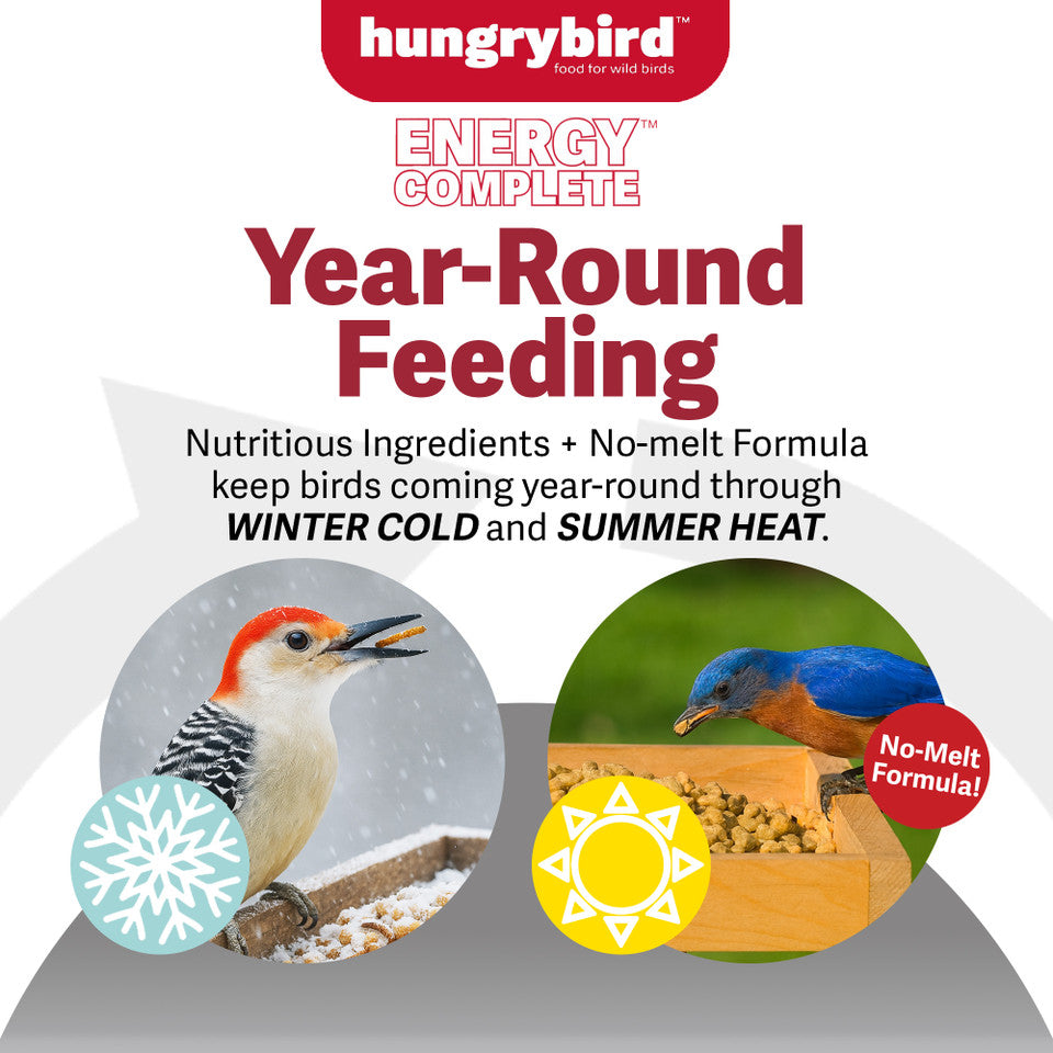 EnergyComplete™ Mealworm Suet Bites 3lb