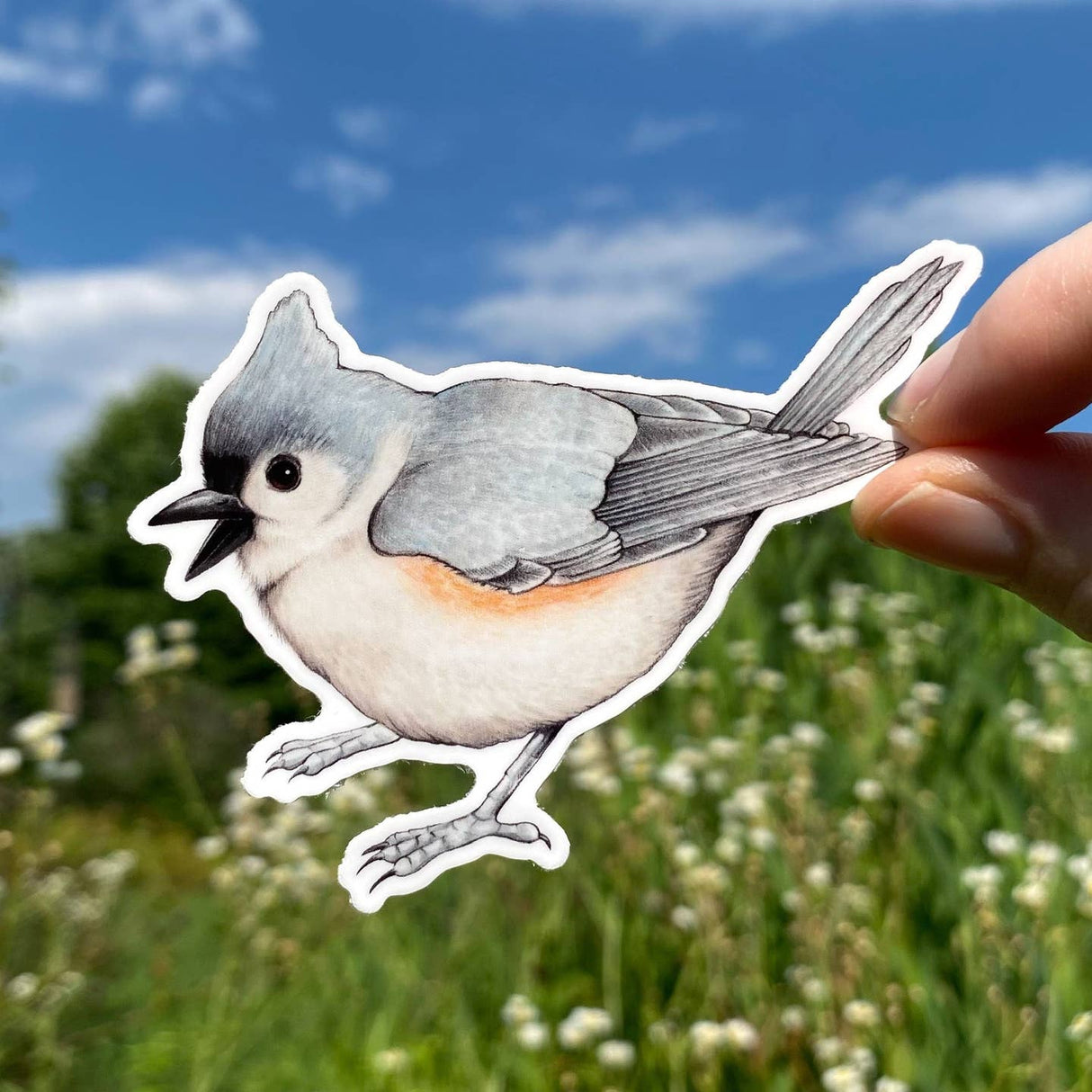 Tufted Titmouse Sticker