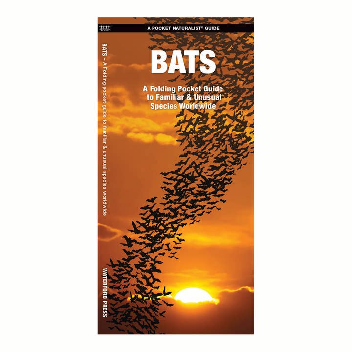 Bats Nature Guide