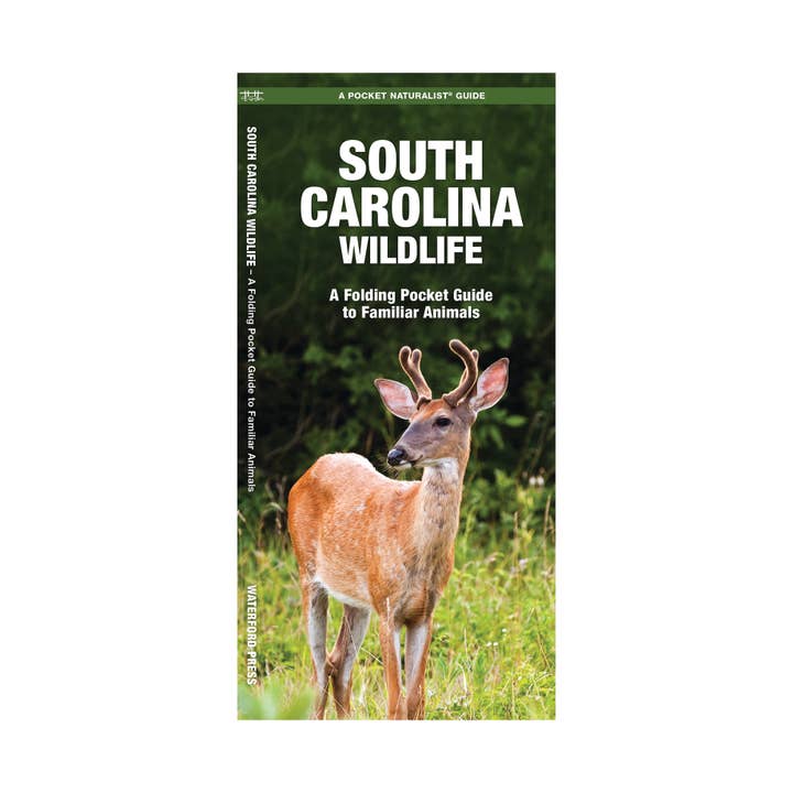 South Carolina Wildlife Nature Guide