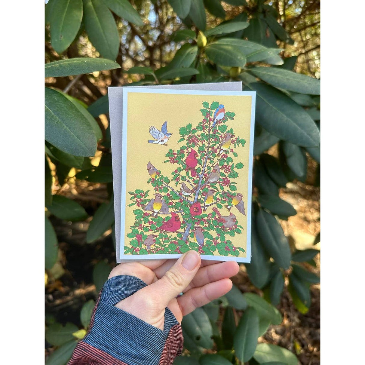 Bird Decorated Tree Cards