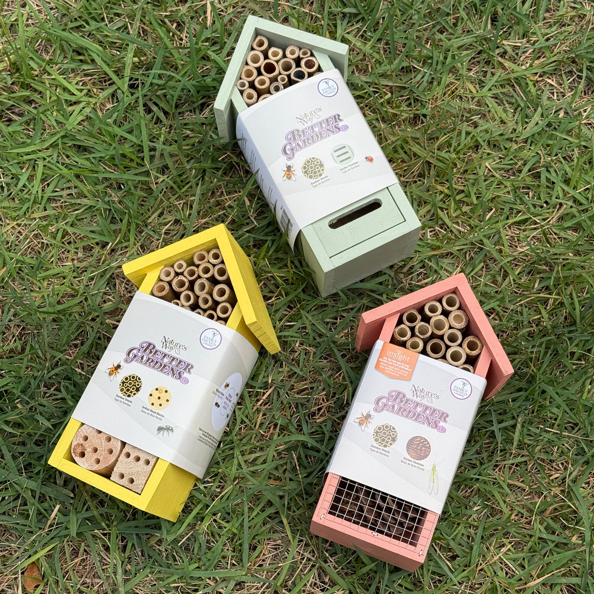 Dual Chamber Insect House