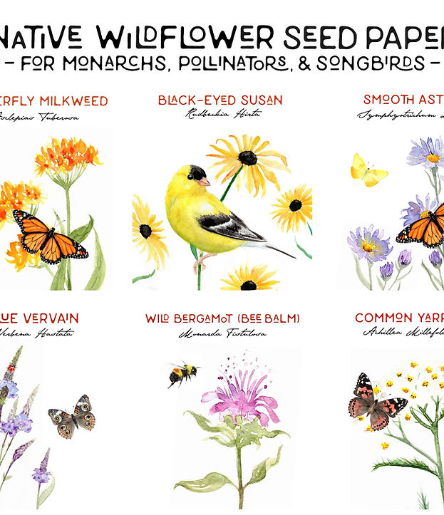 Holiday Wildlife Tree Plantable Native Wildflower Seed Card