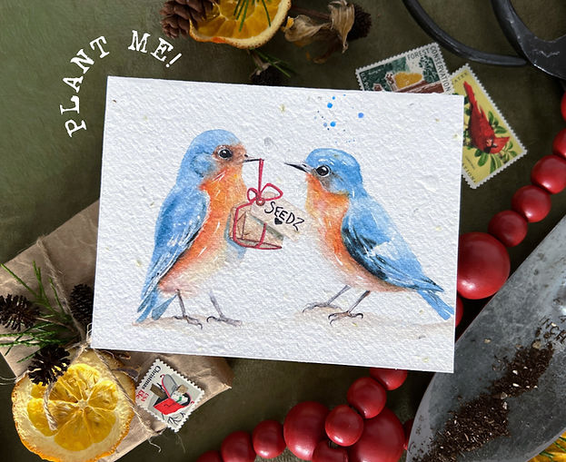 Bluebirds “Seedz” Seed Card Wildflower Mix