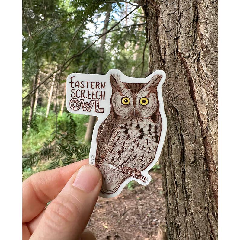 Eastern Screech Owl Sticker