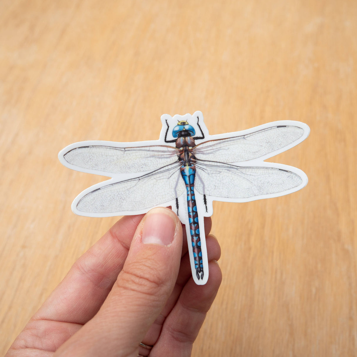 Blue Darner Dragonfly Sticker