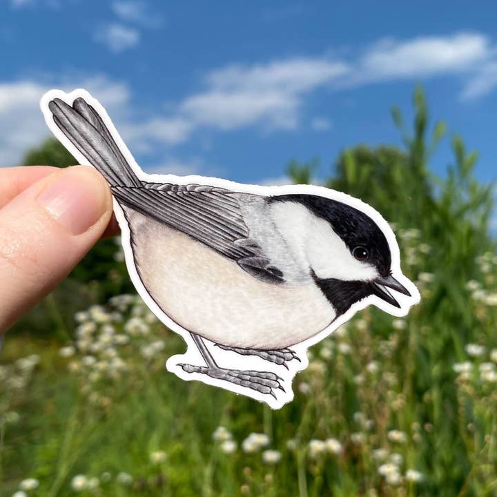Carolina Chickadee Bird Weatherproof Vinyl Sticker