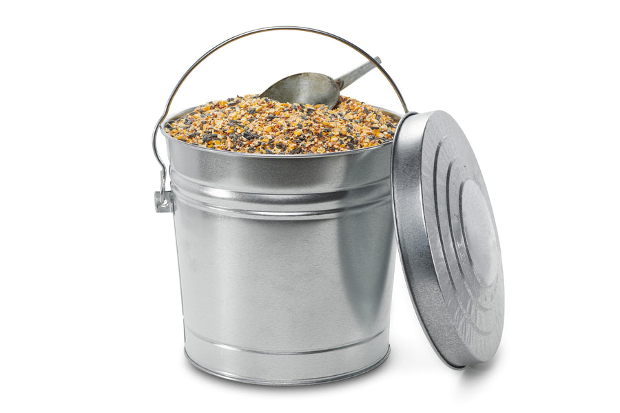 6 Gallon Galvanized Seed Can Locking Lid