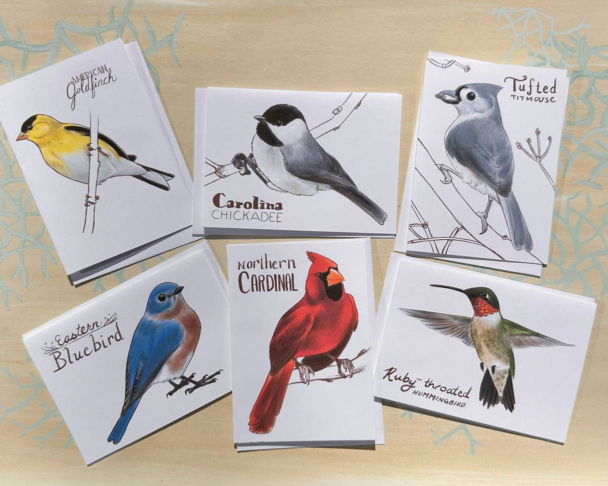 Eastern Backyard Bird Cards