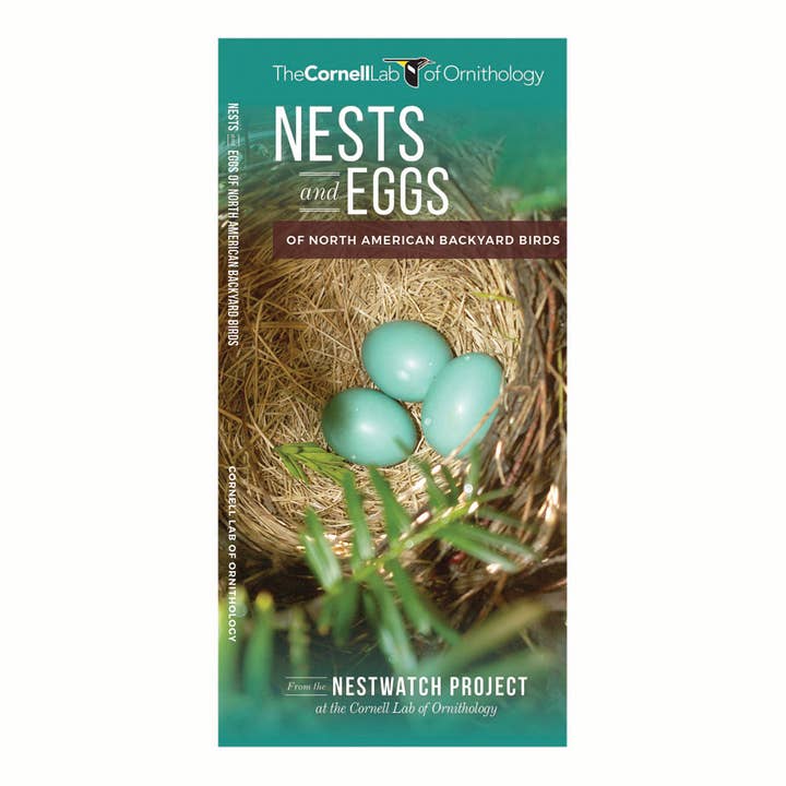 Nests and Eggs of North American Backyard Birds Folding Pocket Guide