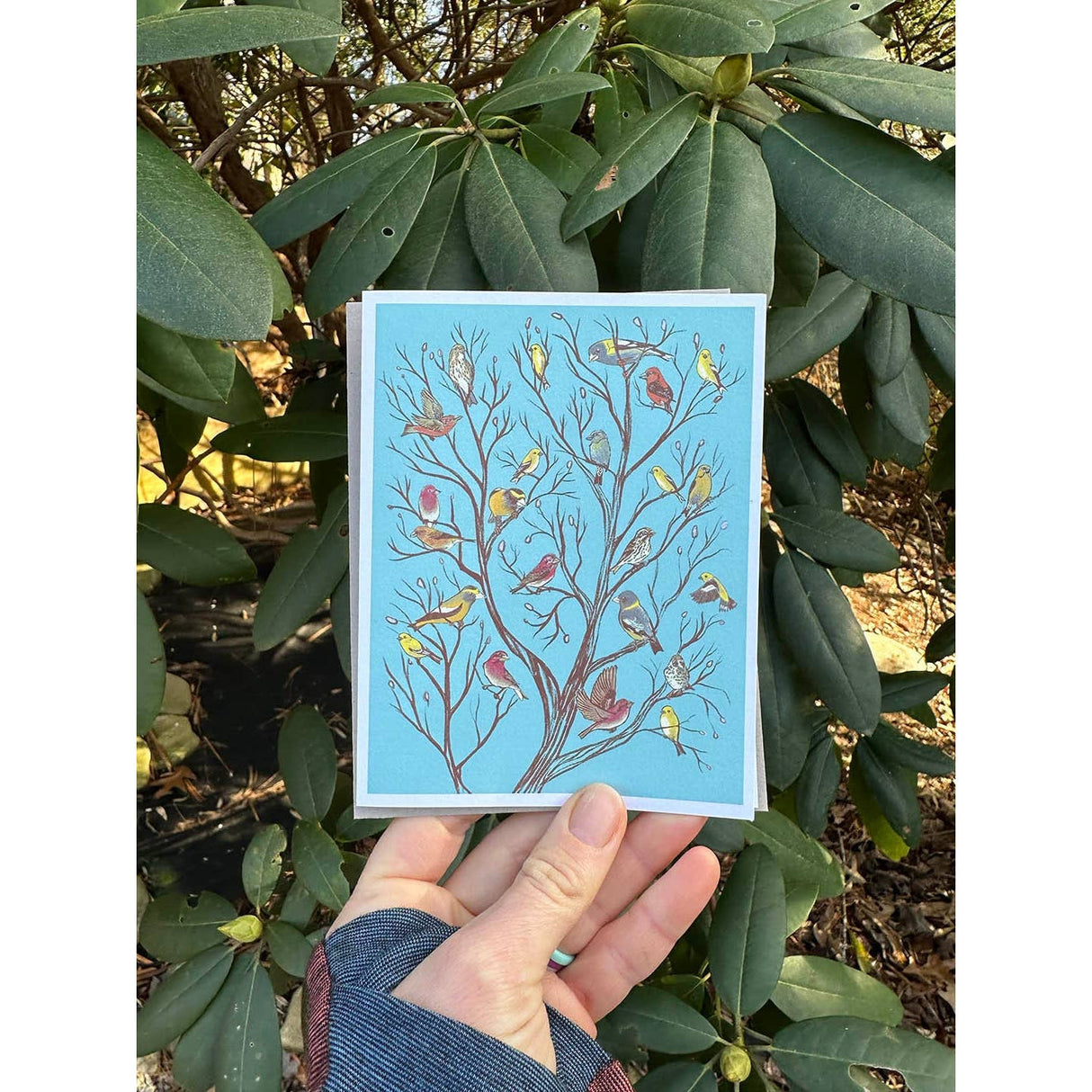 Bird Decorated Tree Cards