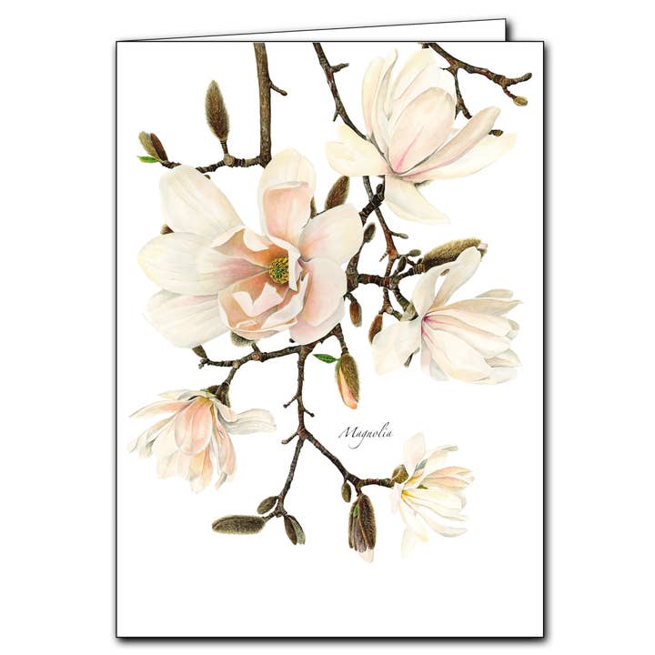 Magnolia Card