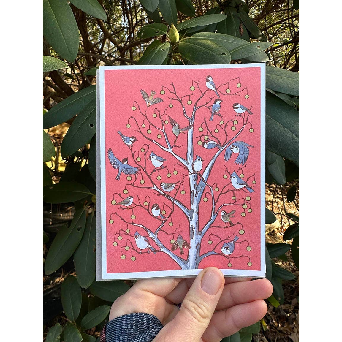 Bird Decorated Tree Cards