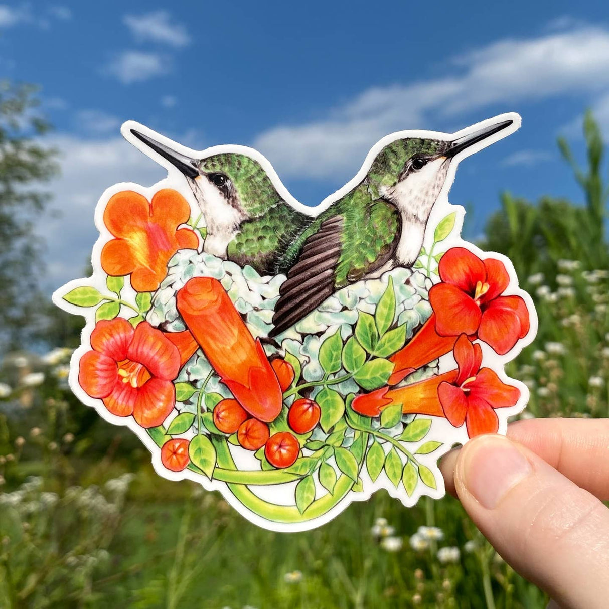 Hummingbirds in Nest Sticker