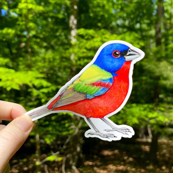 Painted Bunting Weatherproof Vinyl Sticker
