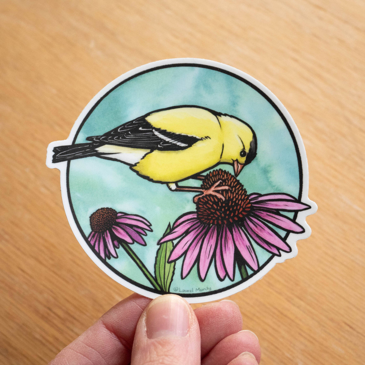 Goldfinch on Coneflower Sticker