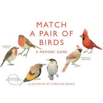 Match a Pair of Birds