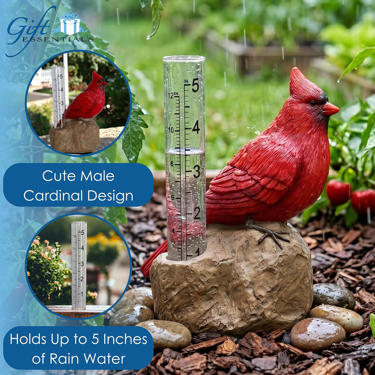Cardinal Rain Gauge