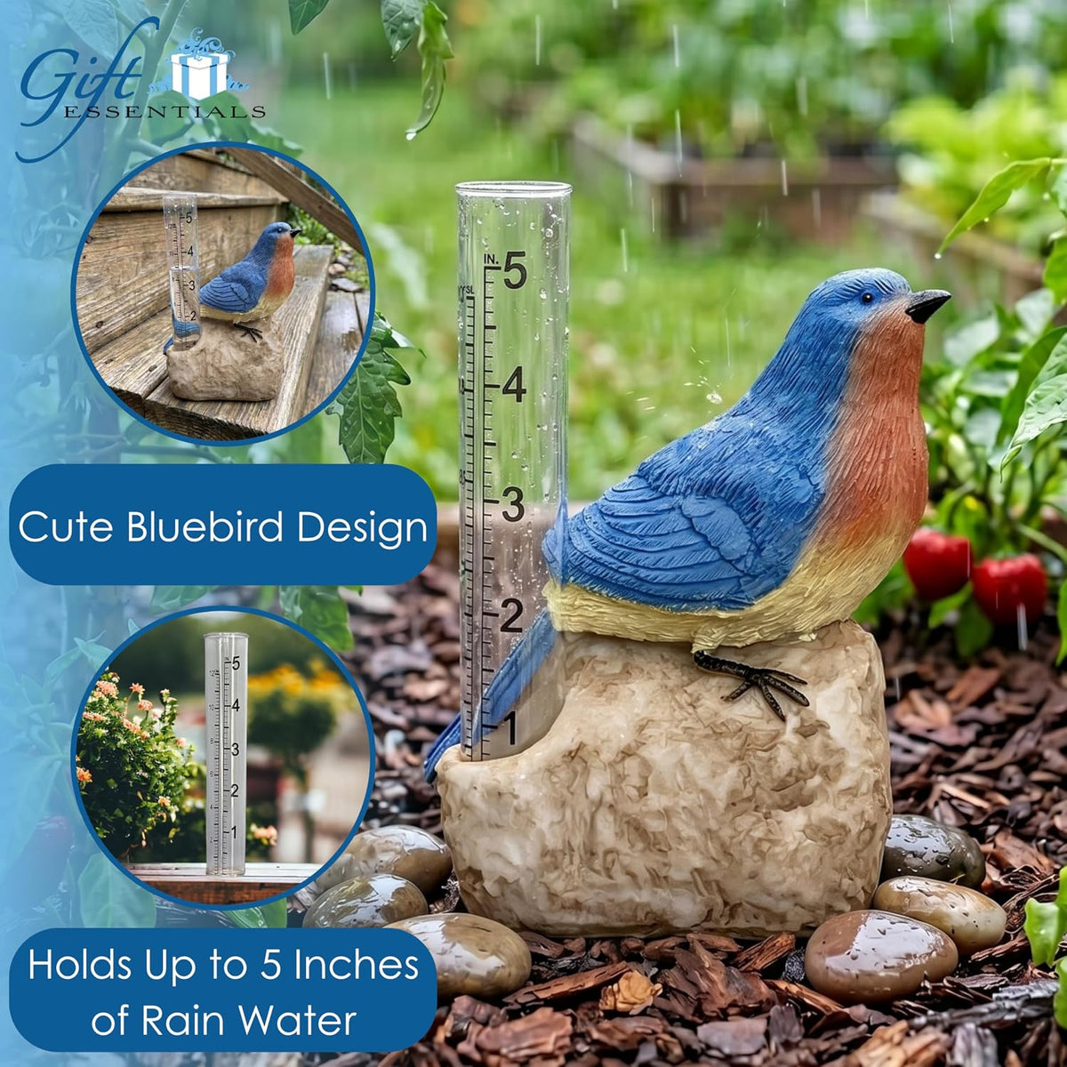 Bluebird Rain Gauge