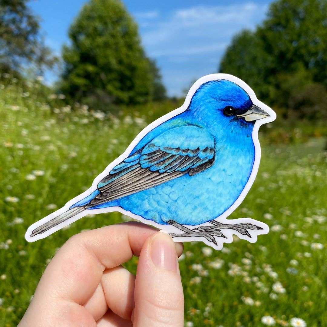 Indigo Bunting Sticker