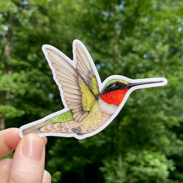 Ruby-throated Hummingbird Weatherproof Vinyl Sticker