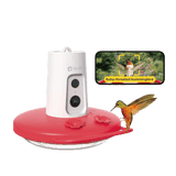 Birdfy Hummingbird Feeder Ruby