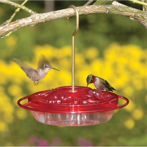 Little Fancy Rose 8 oz.