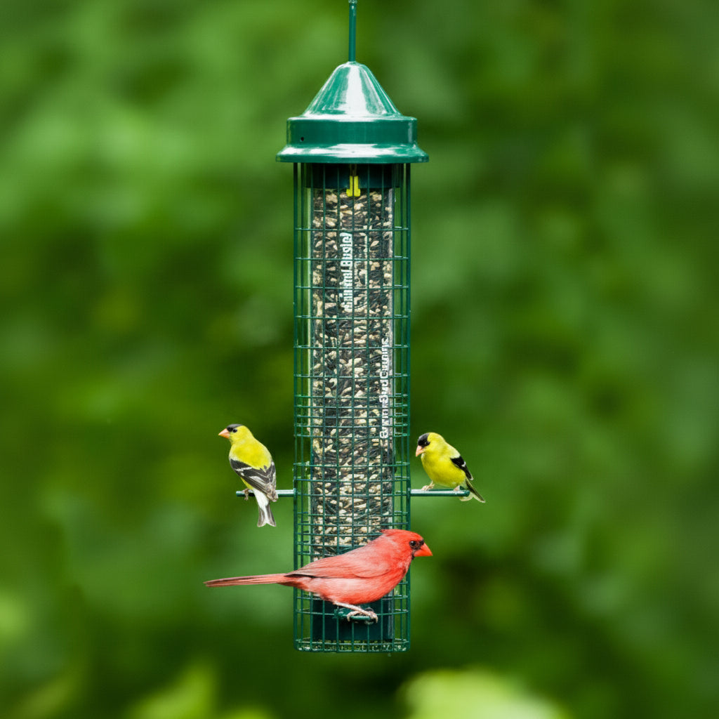 A green Brome Squirrel Buster Classic bird feeder hanging from a cable hanger, with birds perched on the feeder.