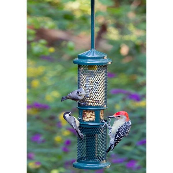 Squirrel Buster Peanut Feeder