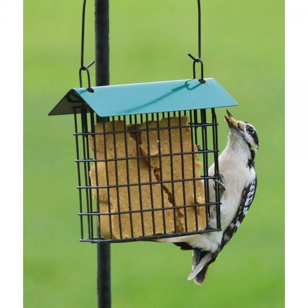 Green Single Suet Feeder with Roof