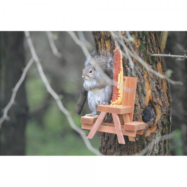 Squirrel Picnic Table Kit