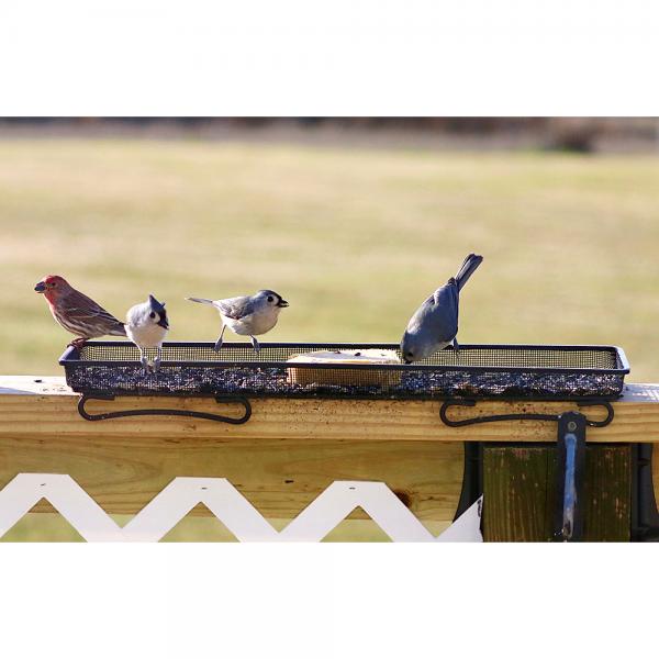 Deck & Ground Tray Feeder
