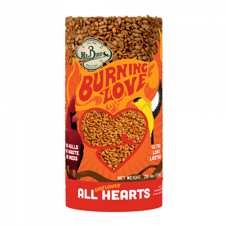 Burning Love Cylinder – Small