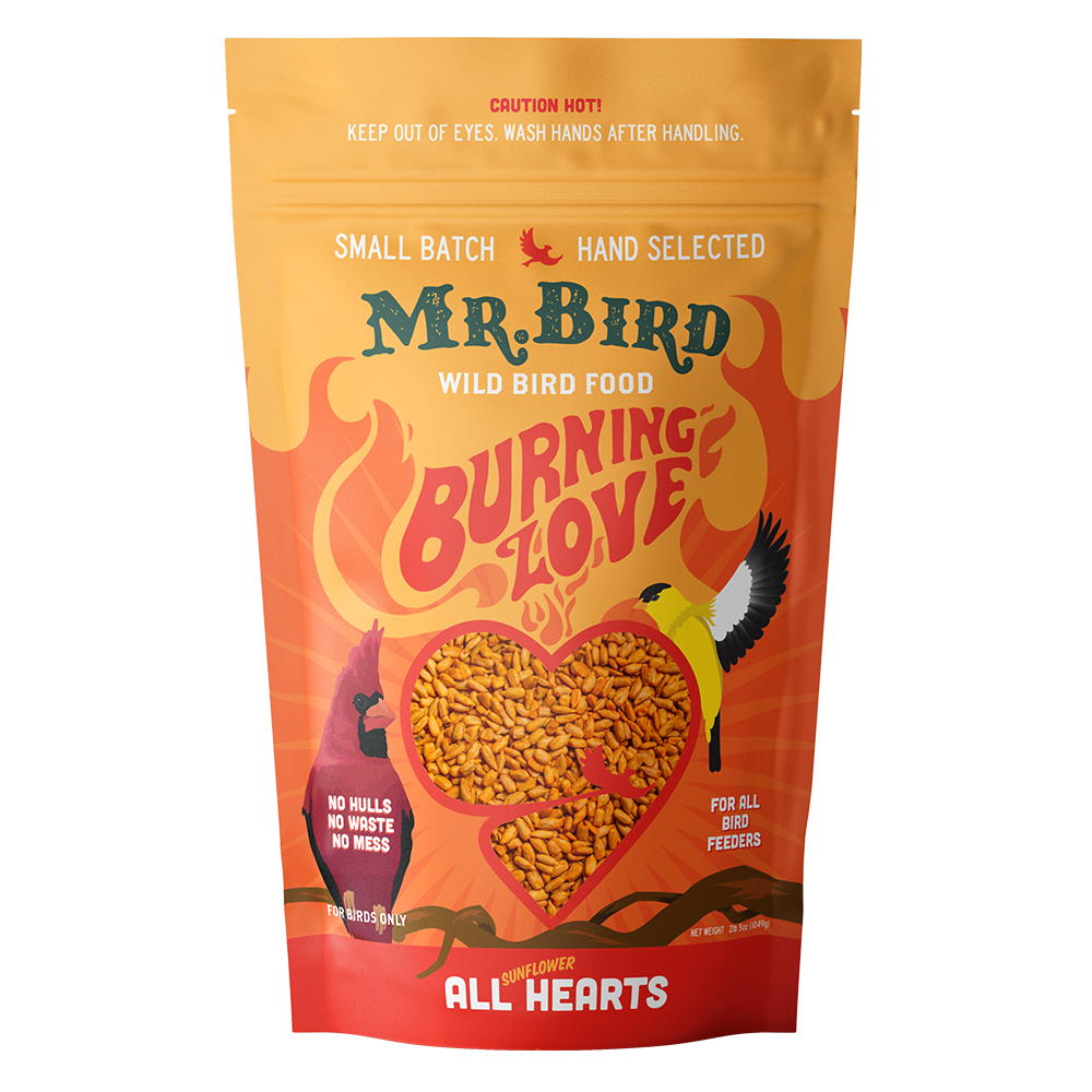 Burning Love 4lb Bag Seed