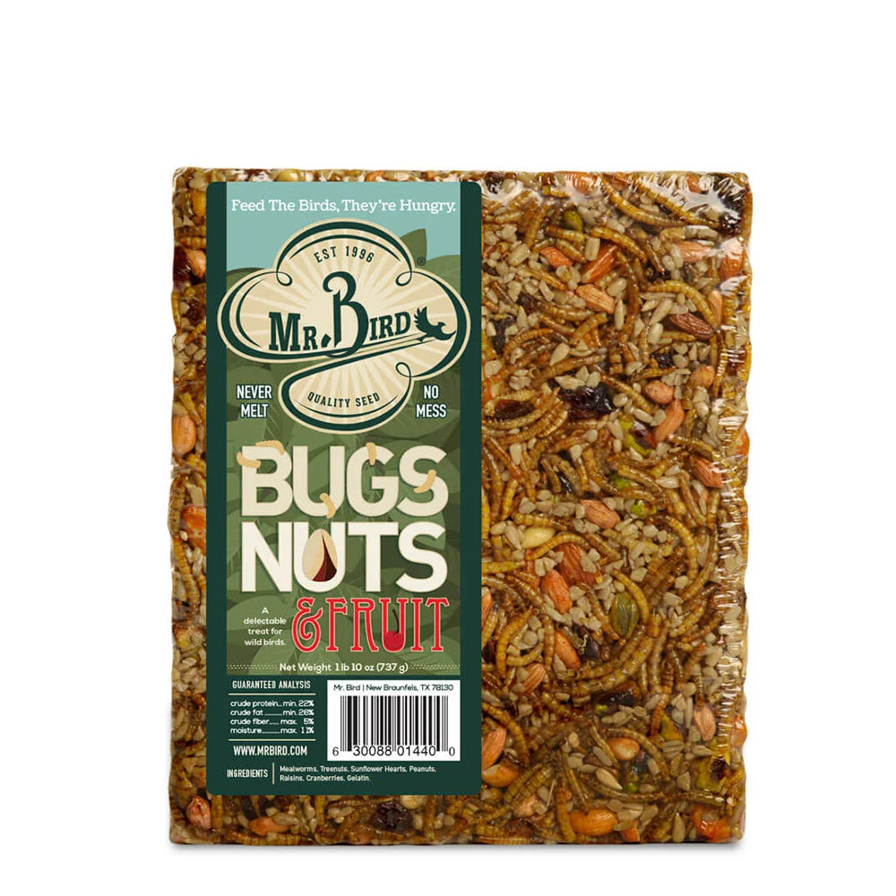 Bugs, Nuts, & Fruit Cake - Large
