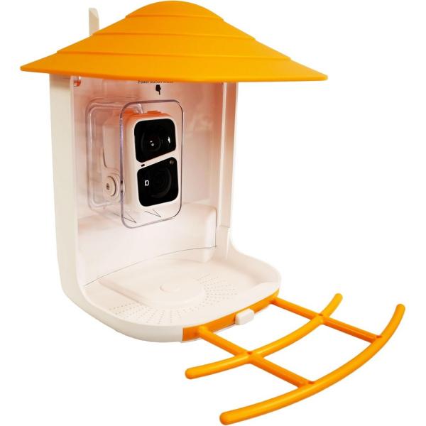 BeakView Bird Feeder Camera