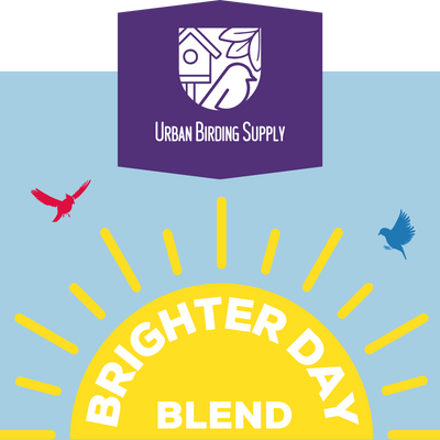 UBS Brighter Day Blend 20#
