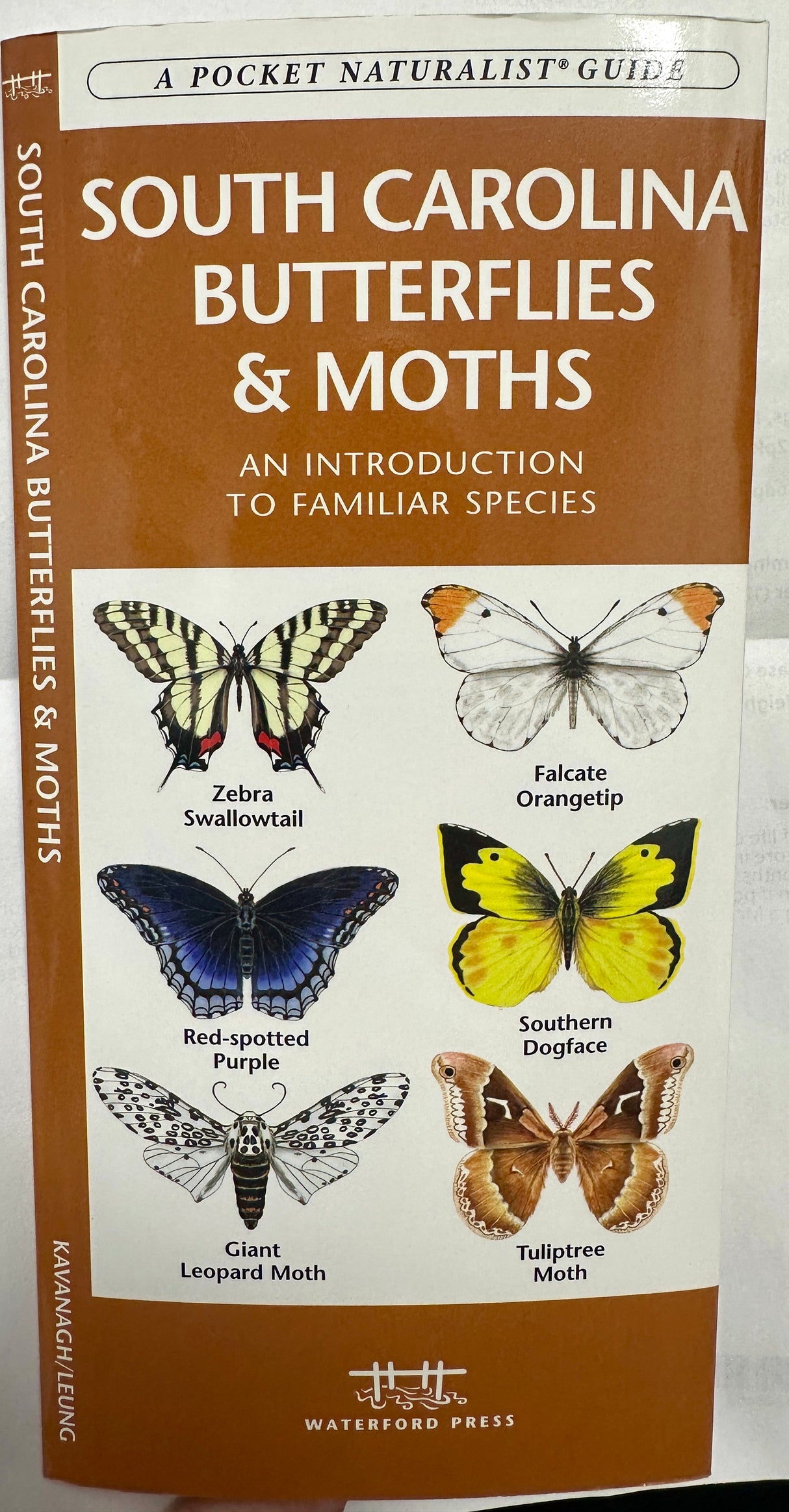 South Carolina Butterflies & Moths A Folding Pocket Guide to Familiar Species