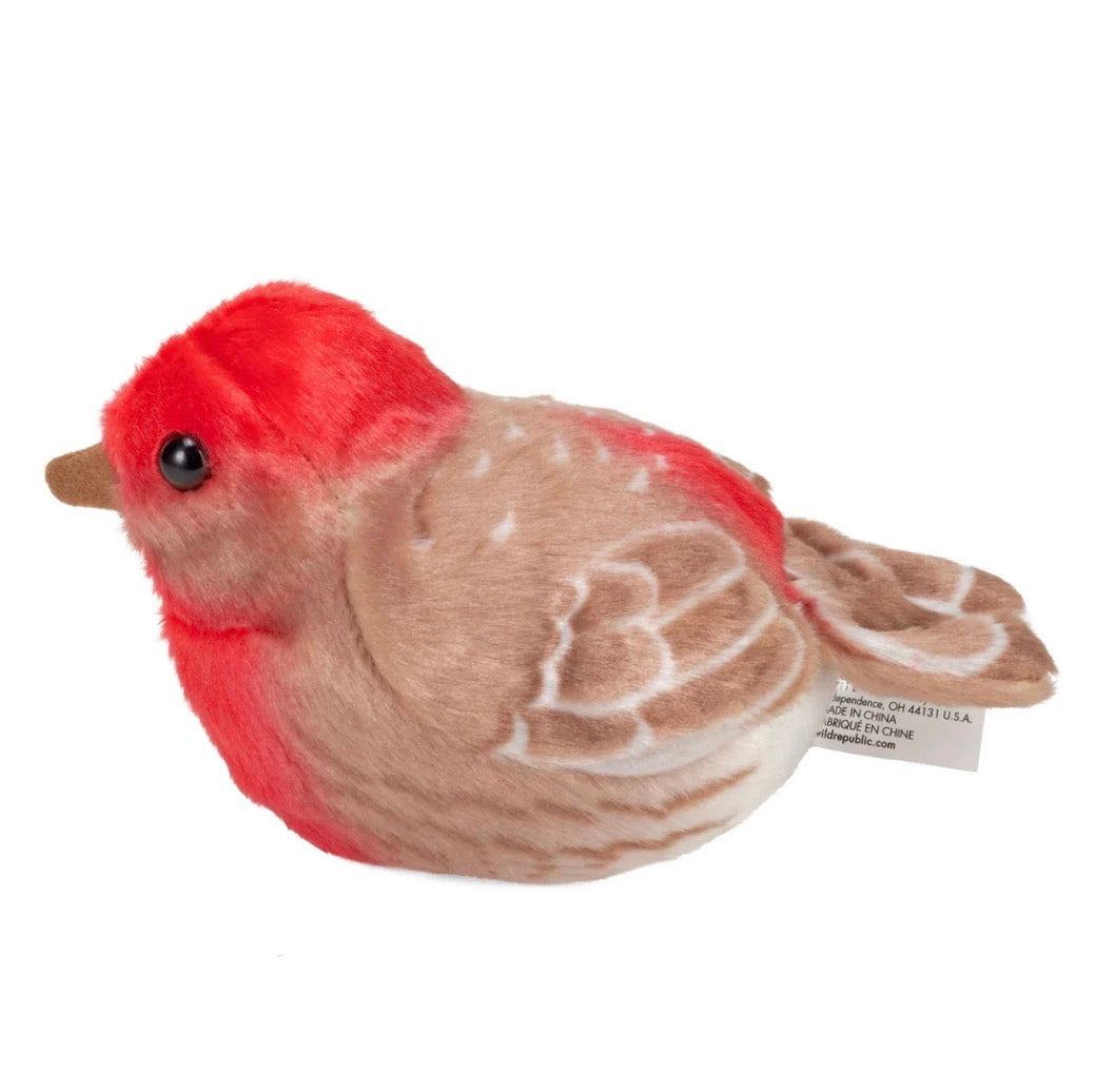 House Finch Stuffed Animal