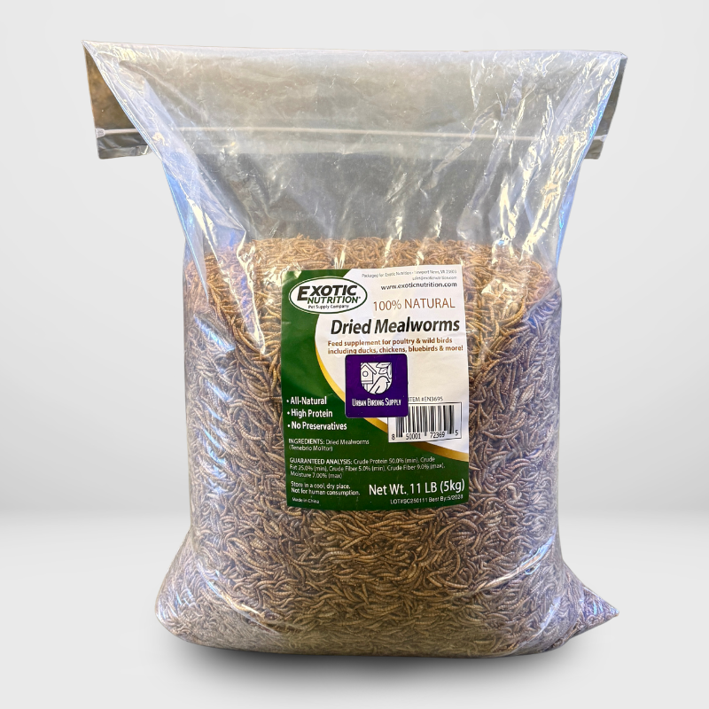Dried Mealworms - 11Lb