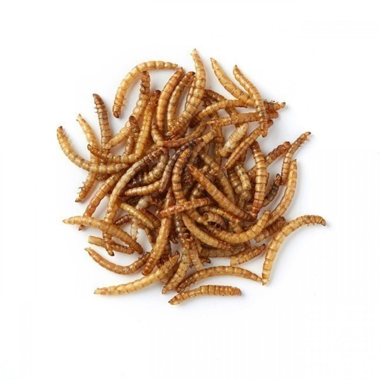 Dried Mealworms - 11Lb