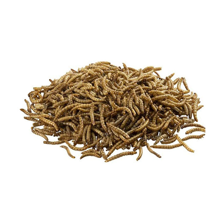 Dried Mealworms - 11Lb