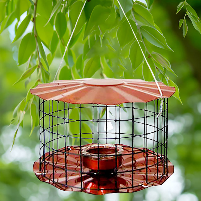 Bluebird Mealworm Feeder - Copper Cage