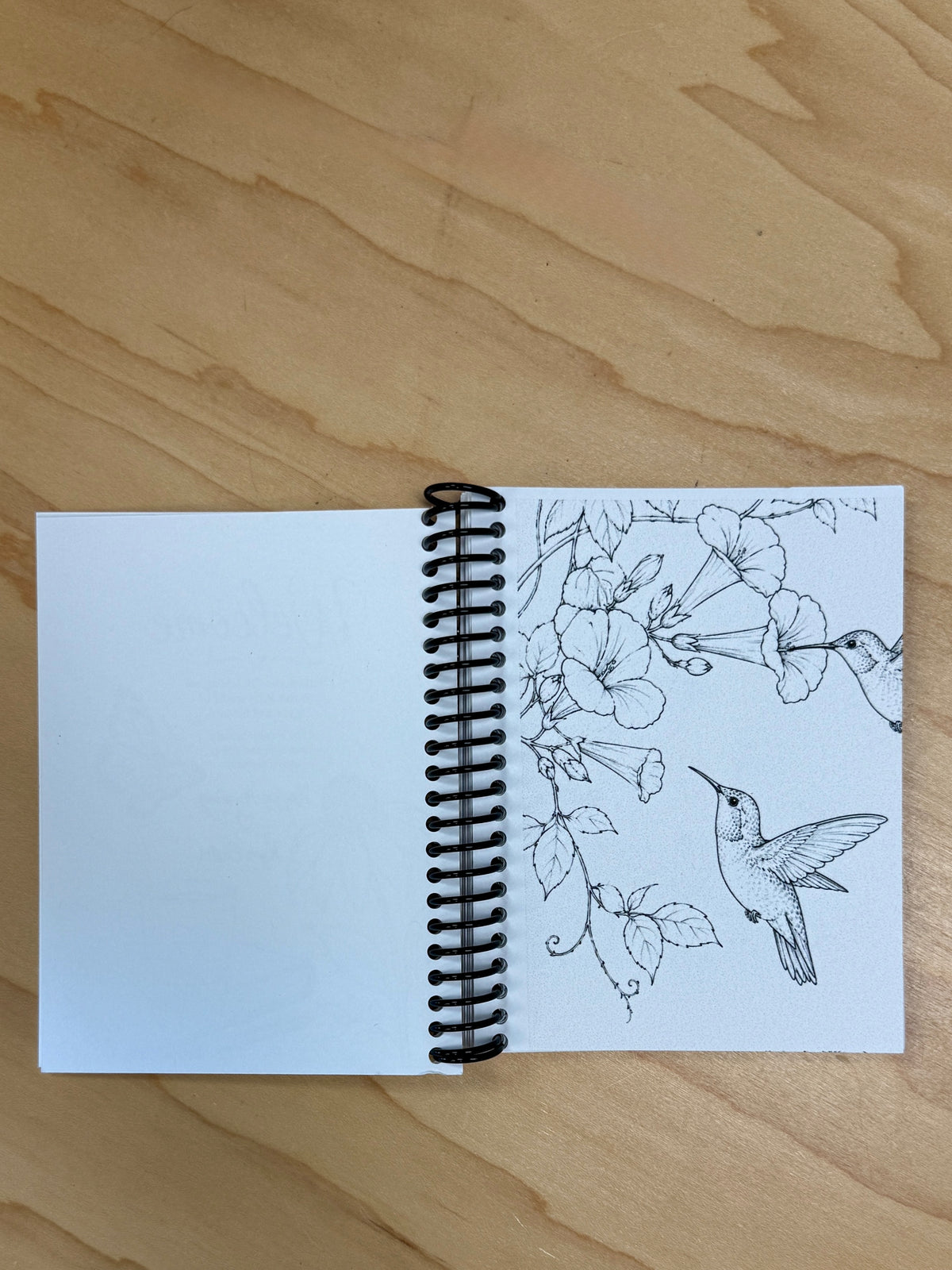 Little Birds & Blooms